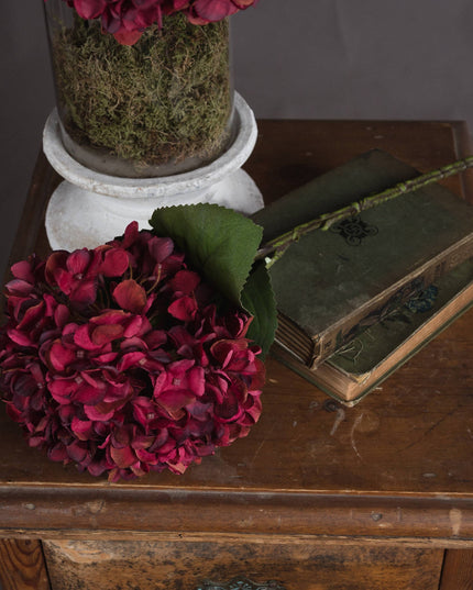 Autumn Ruby Hydrangea