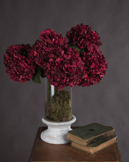 Autumn Ruby Hydrangea