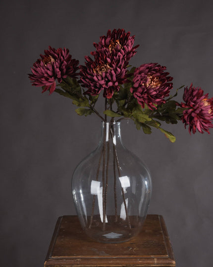 Autumn Spider Chrysanthemum