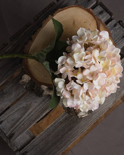 Autumn White Hydrangea