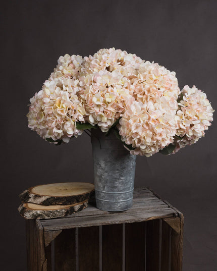 Autumn White Hydrangea