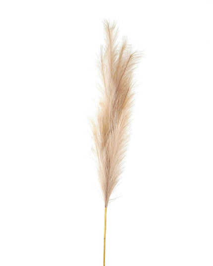 Bleached  Large Faux Pampas Grass Stem