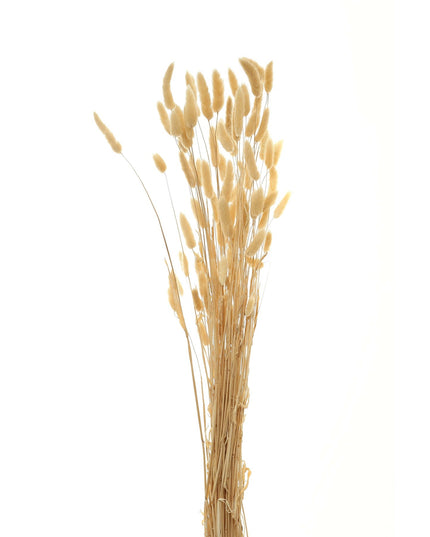 Bouquet Of Tall Bunny Tails