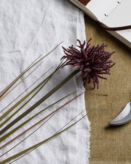 Burgundy Aster Spider Chrysanthemum Stem