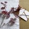 ACCESSORIES & DECOR
