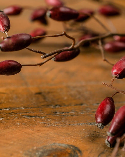 Burgundy Rosehip Stem
