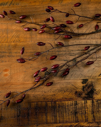 Burgundy Rosehip Stem
