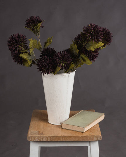 Chocolate Chrysanthemum