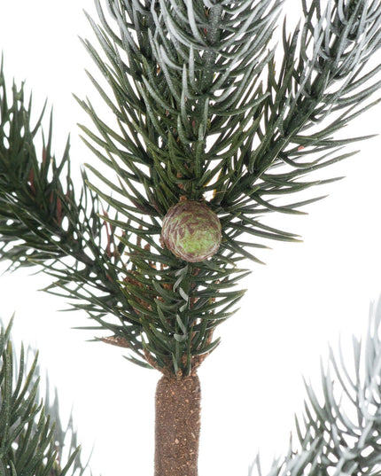 Christmas Fir Tree In Stone Pot