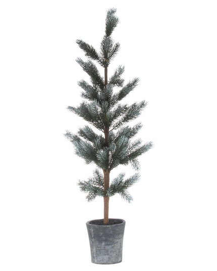 Christmas Fir Tree In Stone Pot