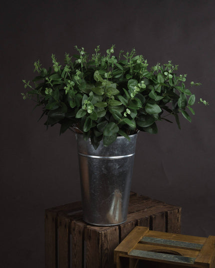 Cineraria Eucalyptus Spray