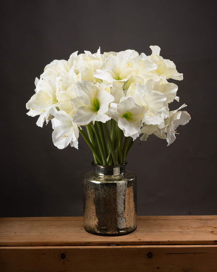 Classic White Amaryllis Flower
