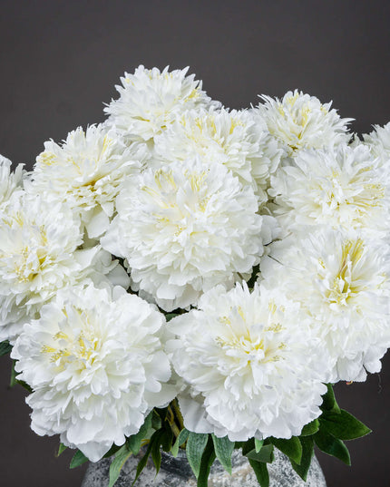 Classic White Peony