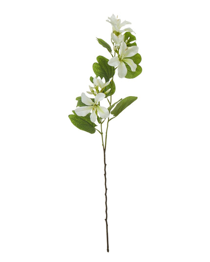 Cream Bauhinia Orchid Spray