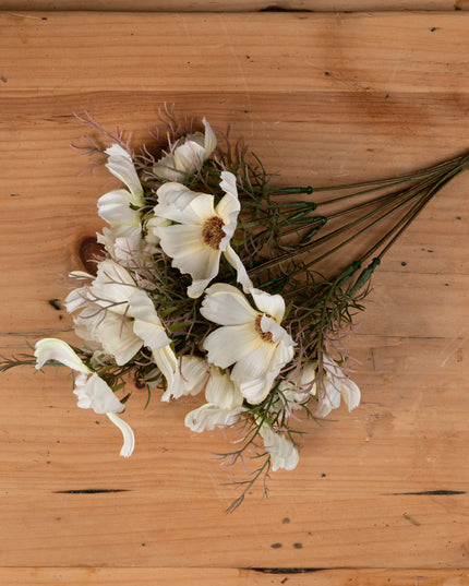 Cream Cosmos Spray