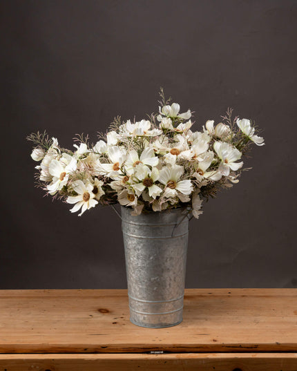 Cream Cosmos Spray
