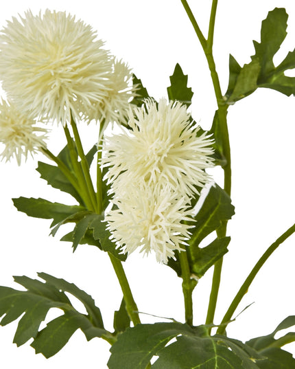 Cream Globe Thistle Spray