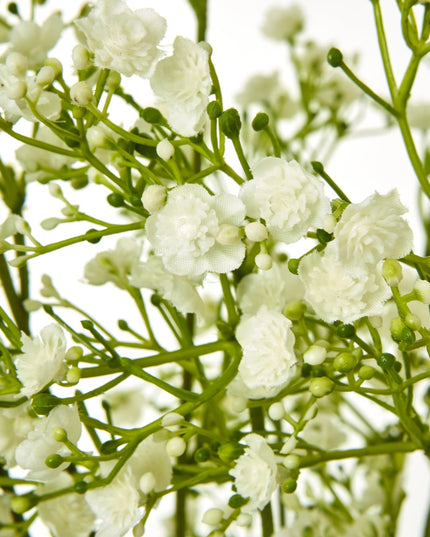 Cream Gypsophila Spray