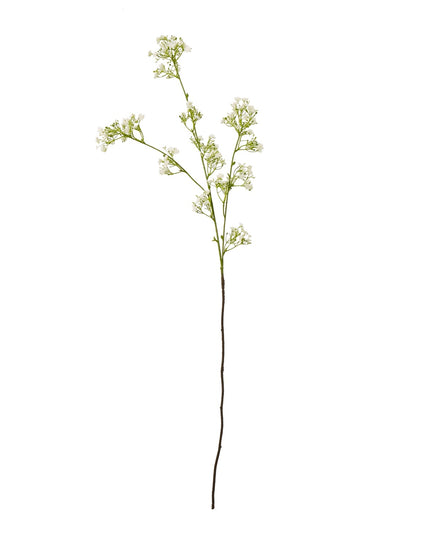 Cream Gypsophila Spray