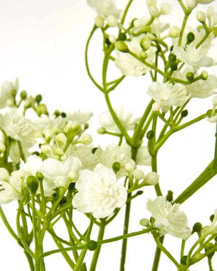 Cream Gypsophila Stem