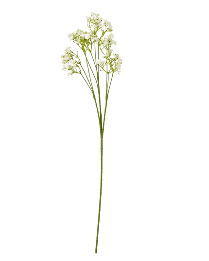 Cream Gypsophila Stem