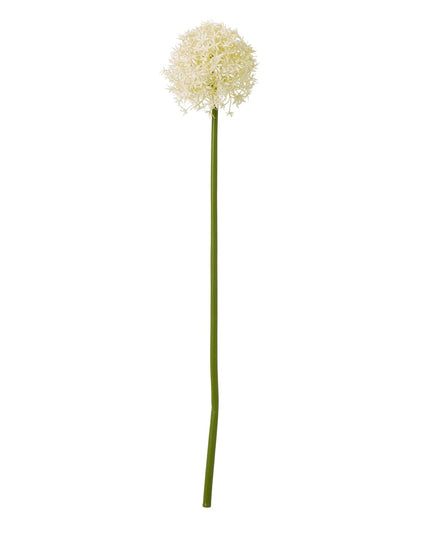 Cream Medium Allium Stem