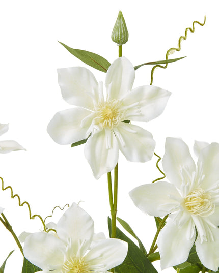 Cream Pearl Clematis Spray