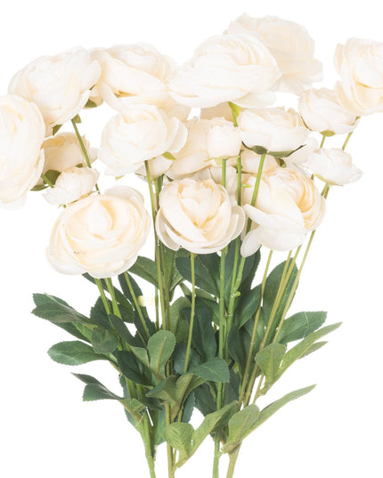 Cream Ranunculus