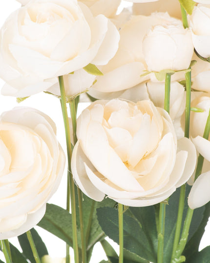 Cream Ranunculus