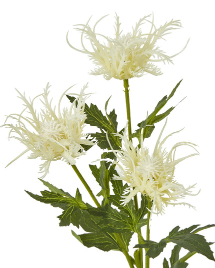 Cream Sea Holly Spray