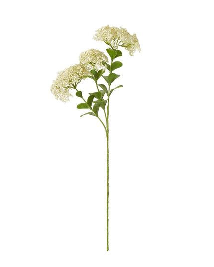 Cream Sedum Spray