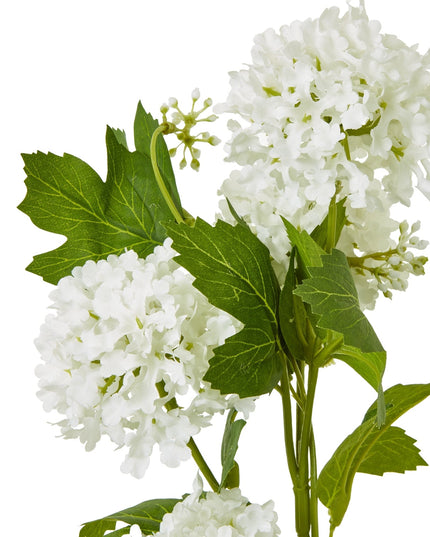 Cream Snowball Viburnum Spray