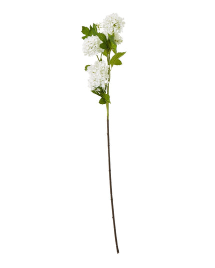 Cream Snowball Viburnum Spray