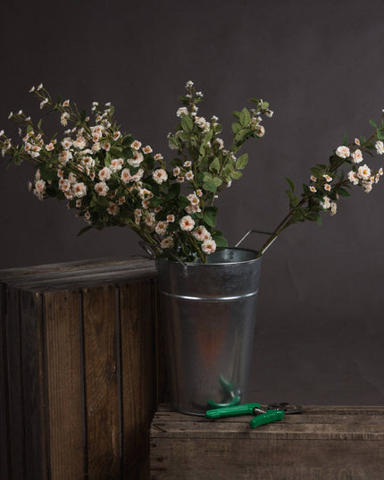 Cream Wild Meadow Rose