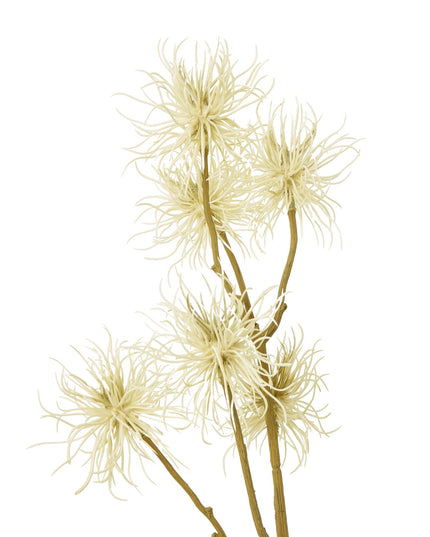 Cream Xanthium Spray