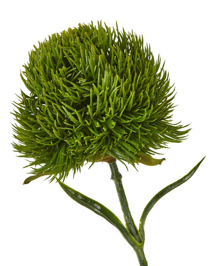 Dark Green Dianthus Stem