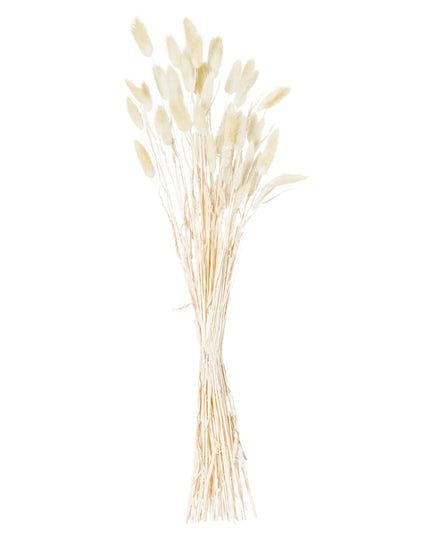 Dried Natural Bunny Tail Bunch Of 40