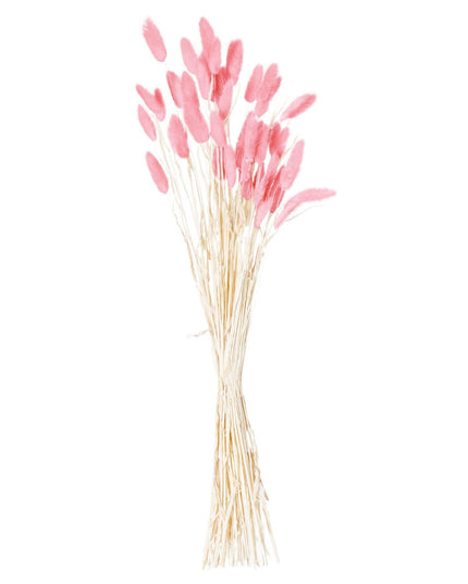 Dried Pale Pink Bunny Tail Bunch Of 40