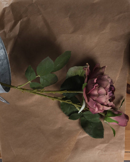 Dusty Pink Spray Rose Peony