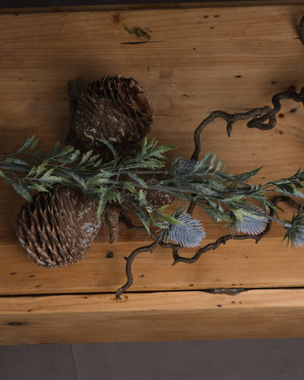 Eryngium Blue Thistle