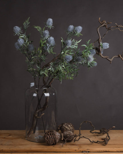 Eryngium Blue Thistle