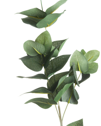 Eucalyptus Filler