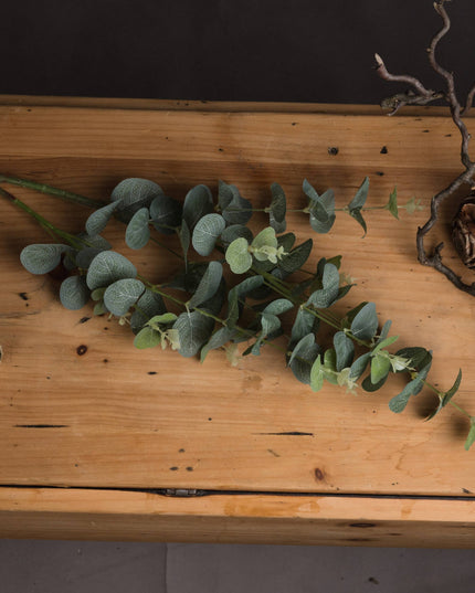 Eucalyptus Spray