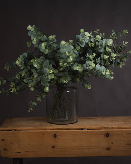 Eucalyptus Spray