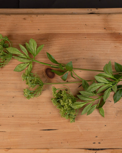 Faux Cow Parsley Ammi