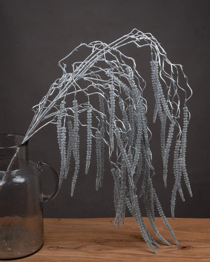 Festive Silver Amaranthus