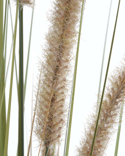 Field Grass Pot 60 Inch