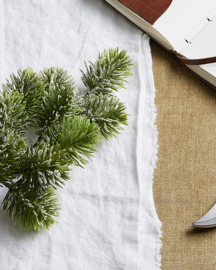 Frosted Pine Single Stem