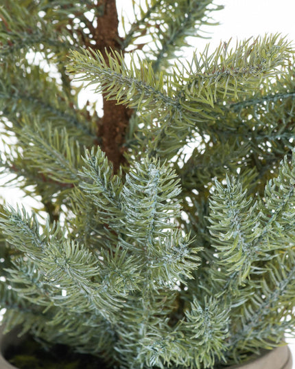 Garda Pine Tree In Stone Pot