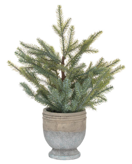 Garda Pine Tree In Stone Pot